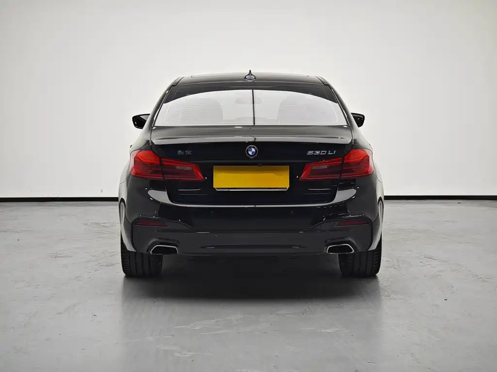BMW 5 Series — миниатюра 6