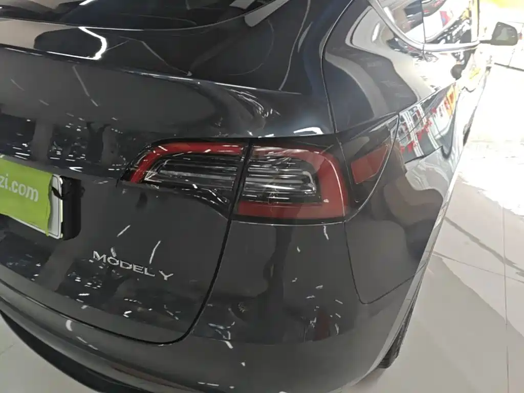 Tesla Model Y — миниатюра 8