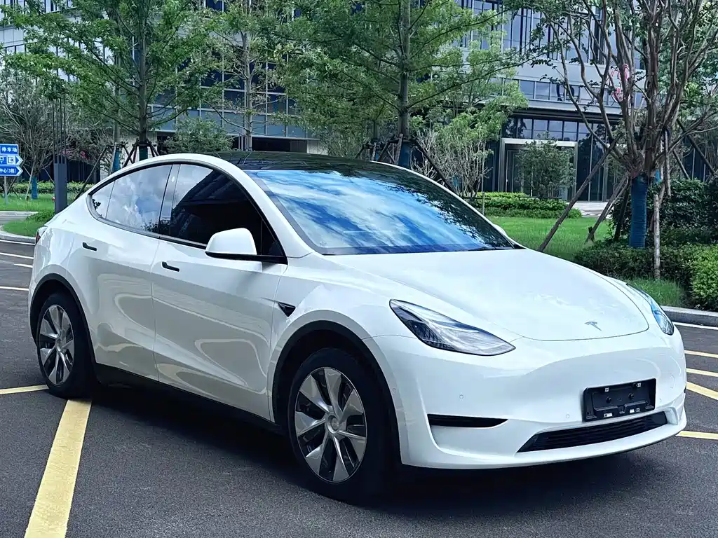 Tesla Model Y — миниатюра 3