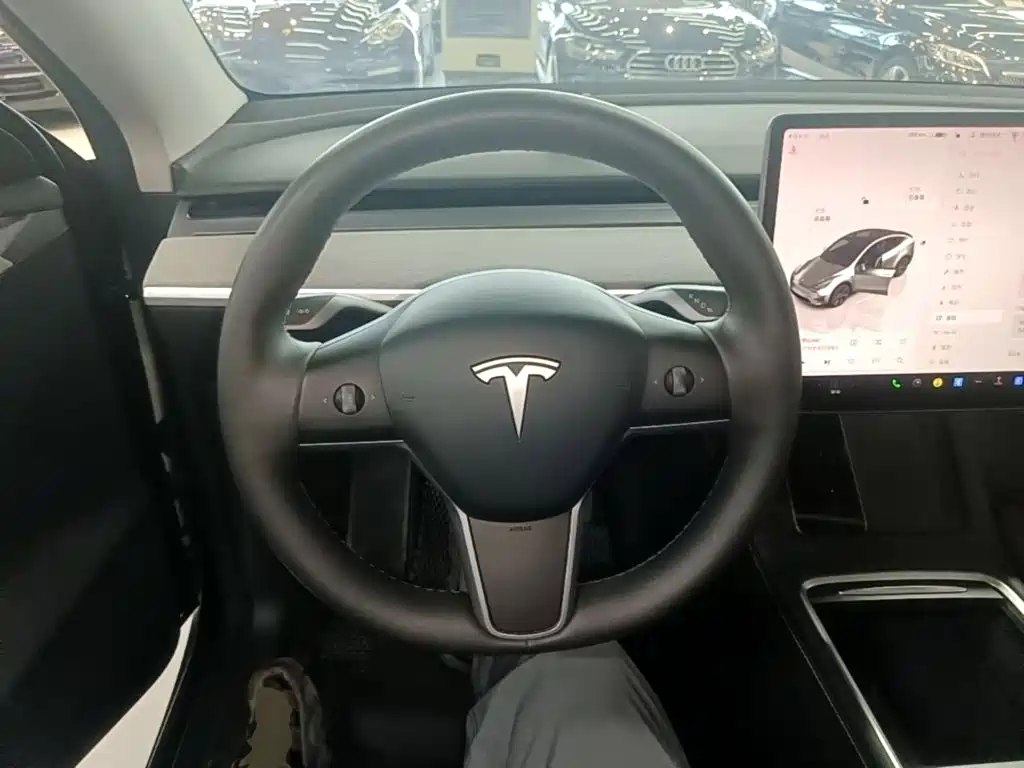 Tesla Model Y — миниатюра 11
