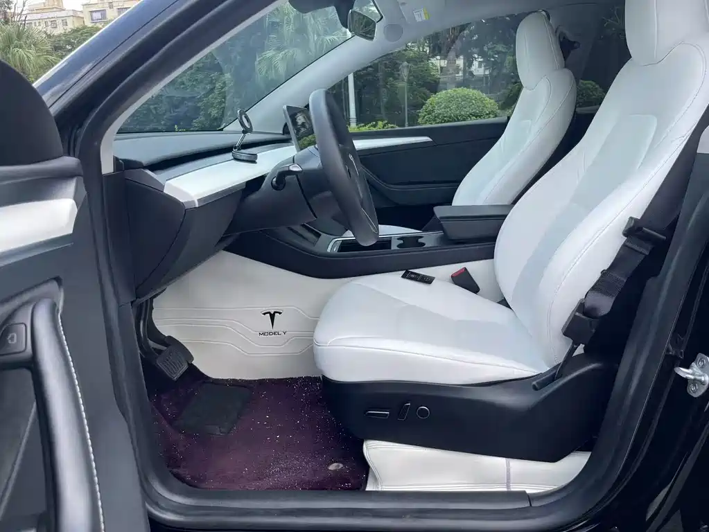 Tesla Model Y — миниатюра 10