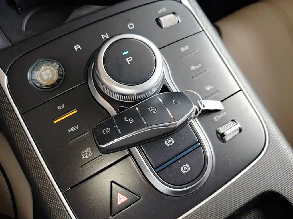BYD Destroyer 05 2024 DM-i 55KM Luxury