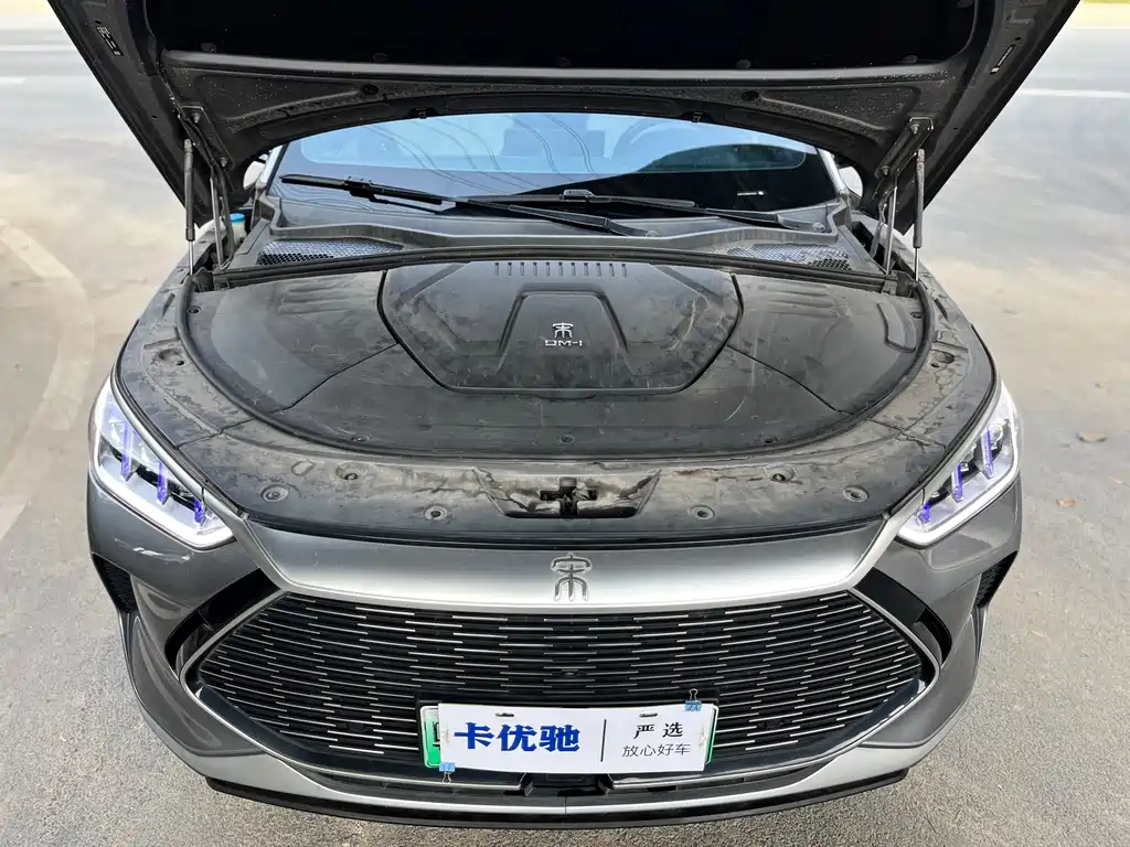 BYD PLUS New Energy — миниатюра 29