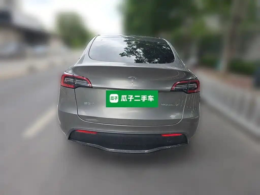 Tesla Model Y — миниатюра 3