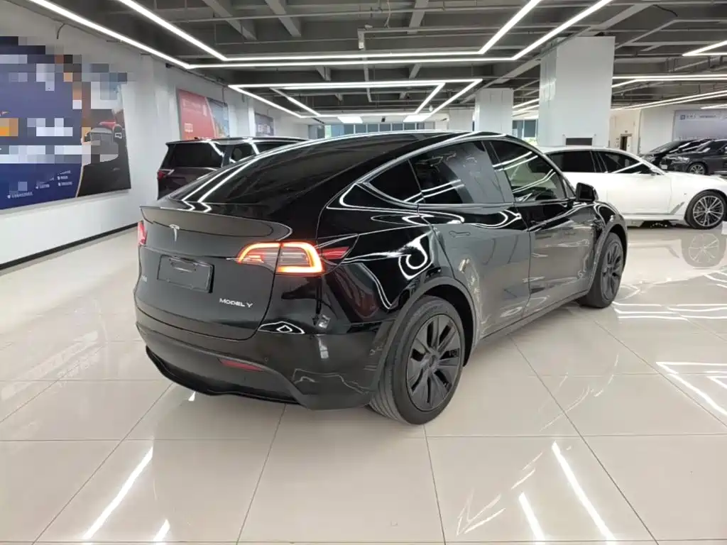 Tesla Model Y — миниатюра 7