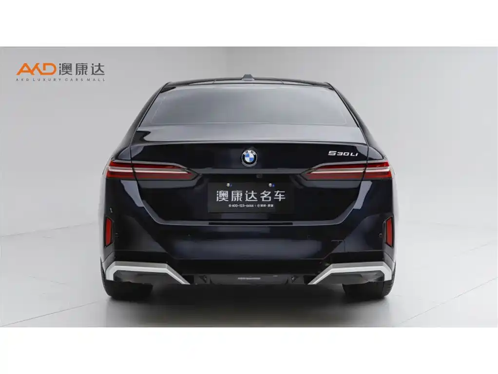 BMW 5 Series — миниатюра 4