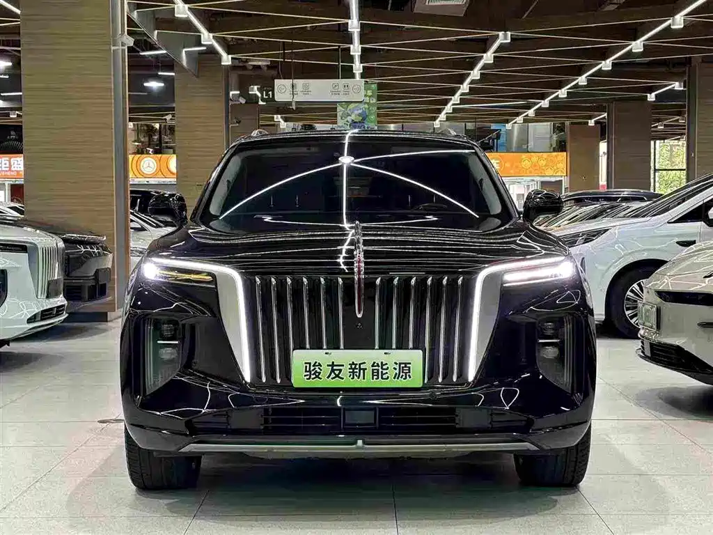 Hongqi Hongqi E-HS9 — миниатюра 10