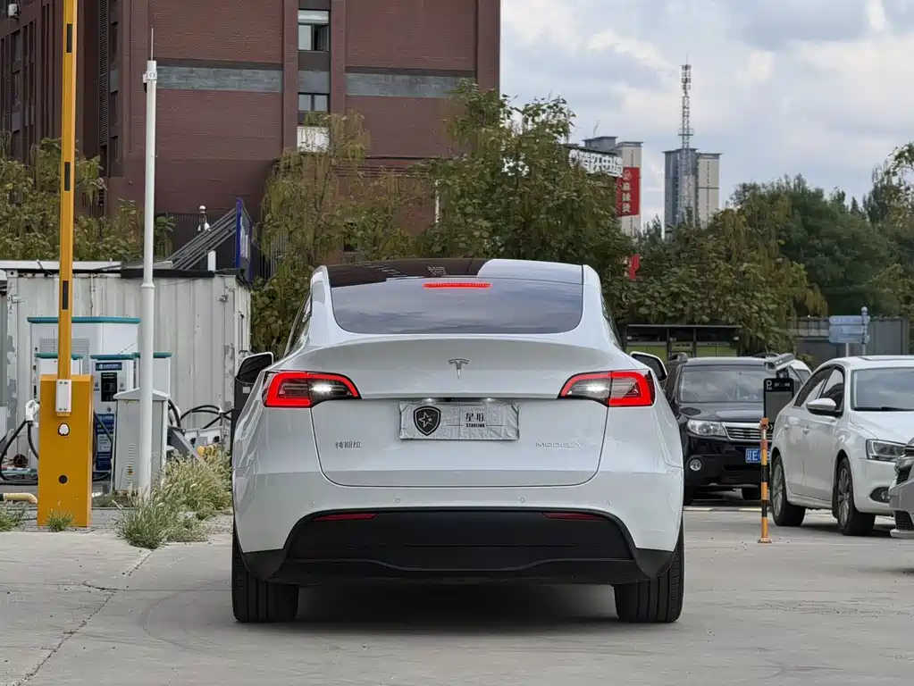 Tesla Model Y — миниатюра 5