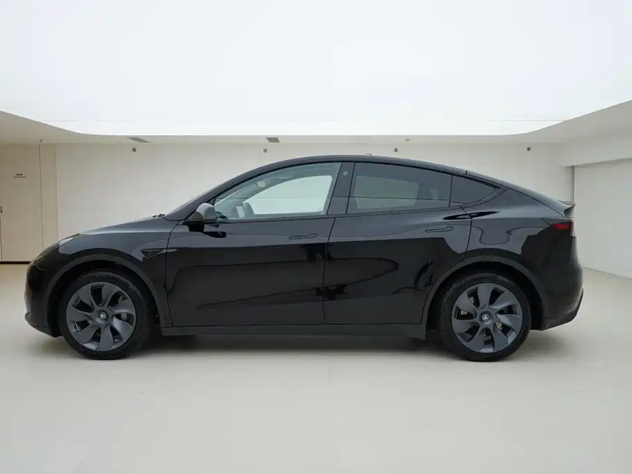 Tesla Model Y — миниатюра 3