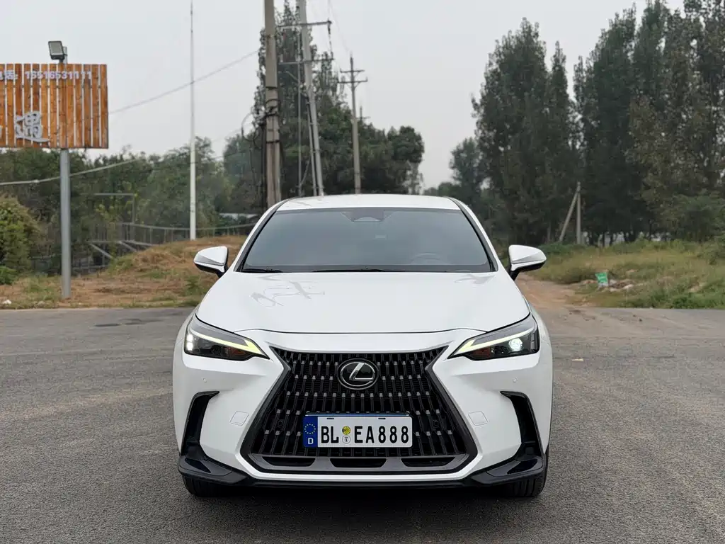 Lexus NX — миниатюра 2