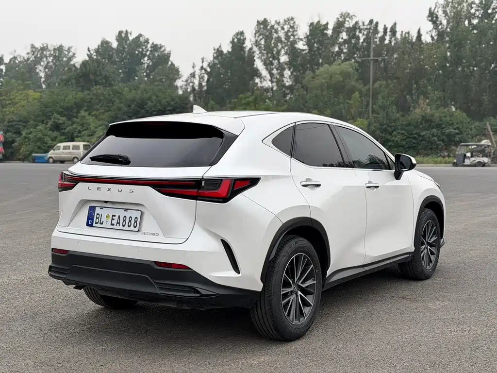 Lexus NX — миниатюра 11