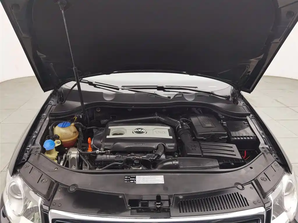 Volkswagen Magotan 2011 1.8TSI DSG Comfort