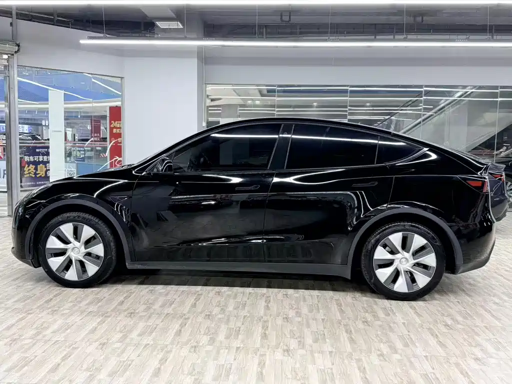 Tesla Model Y — миниатюра 2