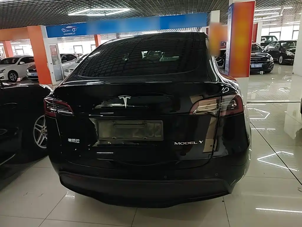 Tesla Model Y — миниатюра 6