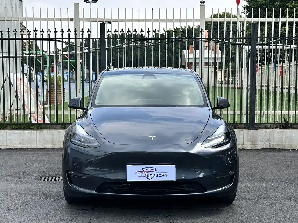 Tesla Model Y — миниатюра 2