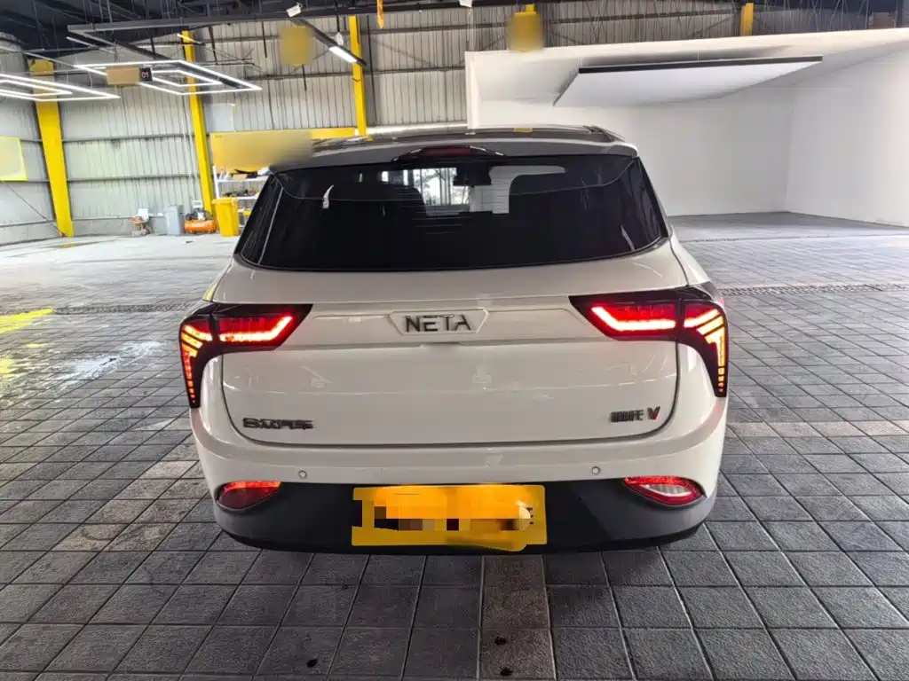 Neta Neta V — миниатюра 4