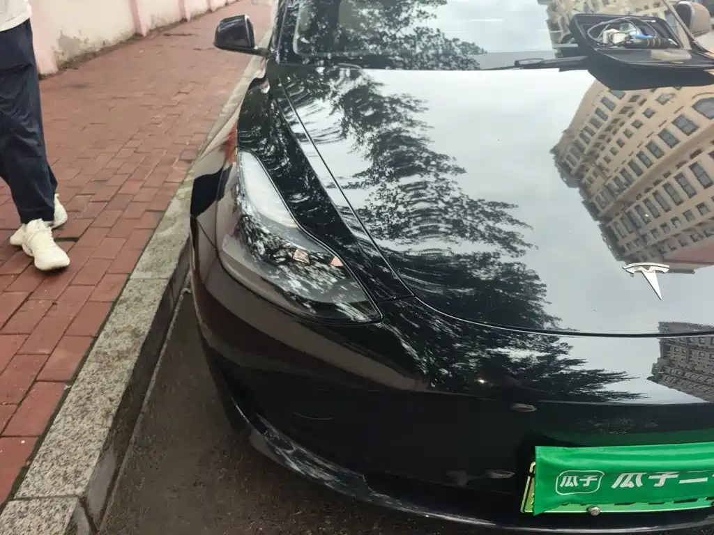 Tesla Model 3 — миниатюра 7