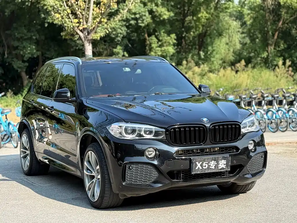 BMW X5 (Import) — миниатюра 3