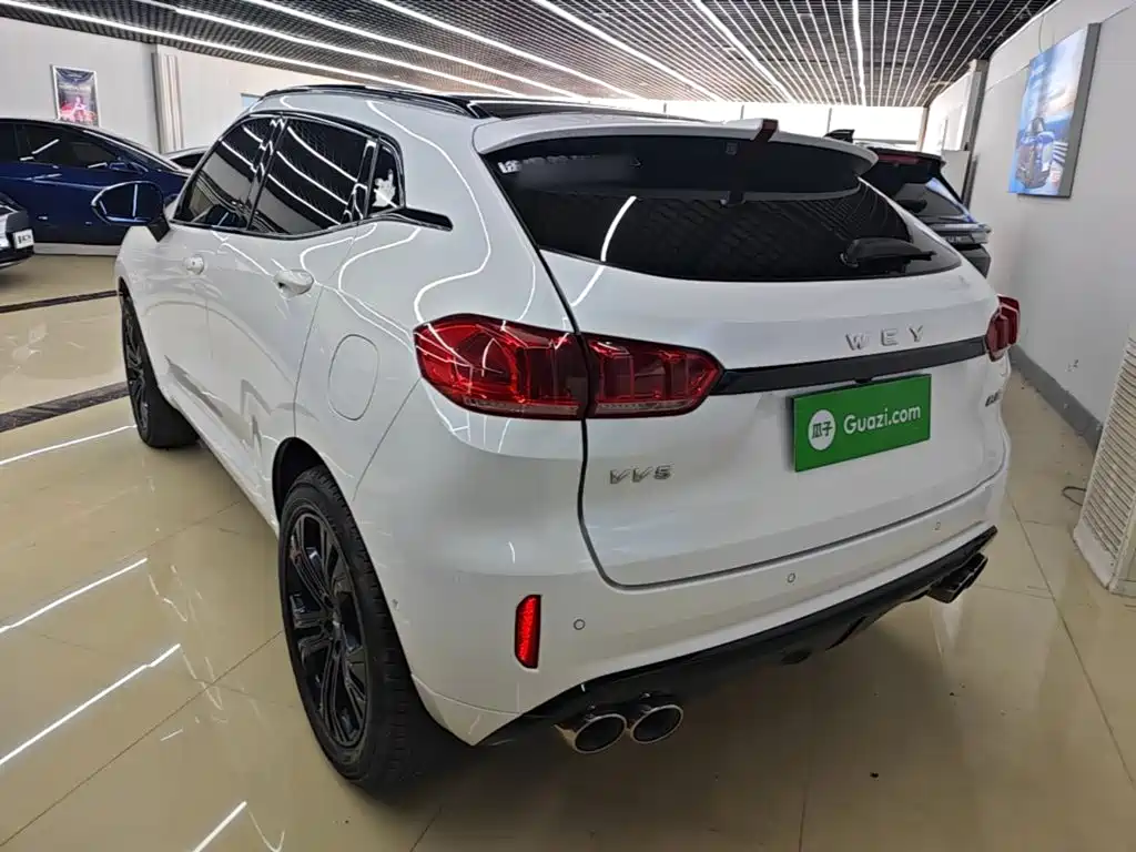 Wey Wey VV5 — миниатюра 5