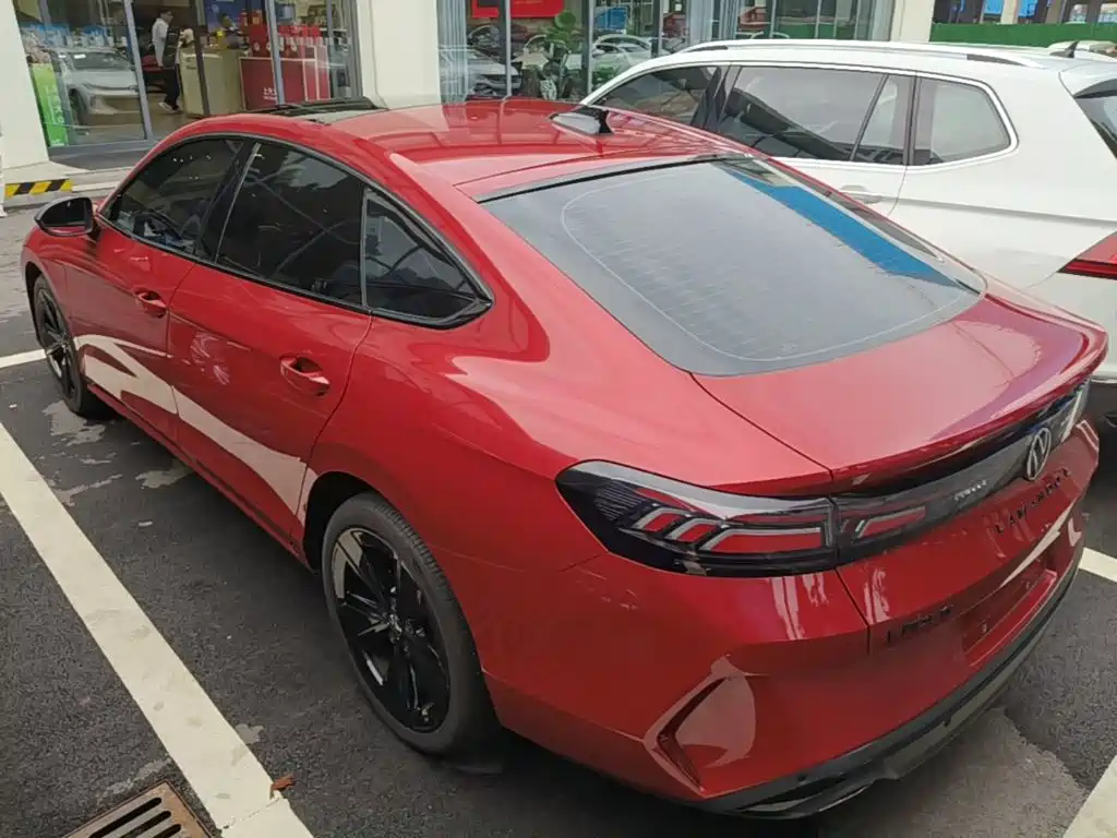 Volkswagen Lamando — миниатюра 5