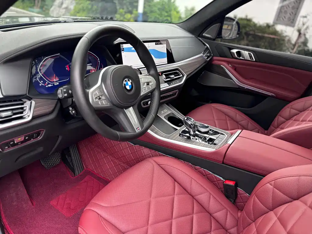 BMW X5 — миниатюра 8