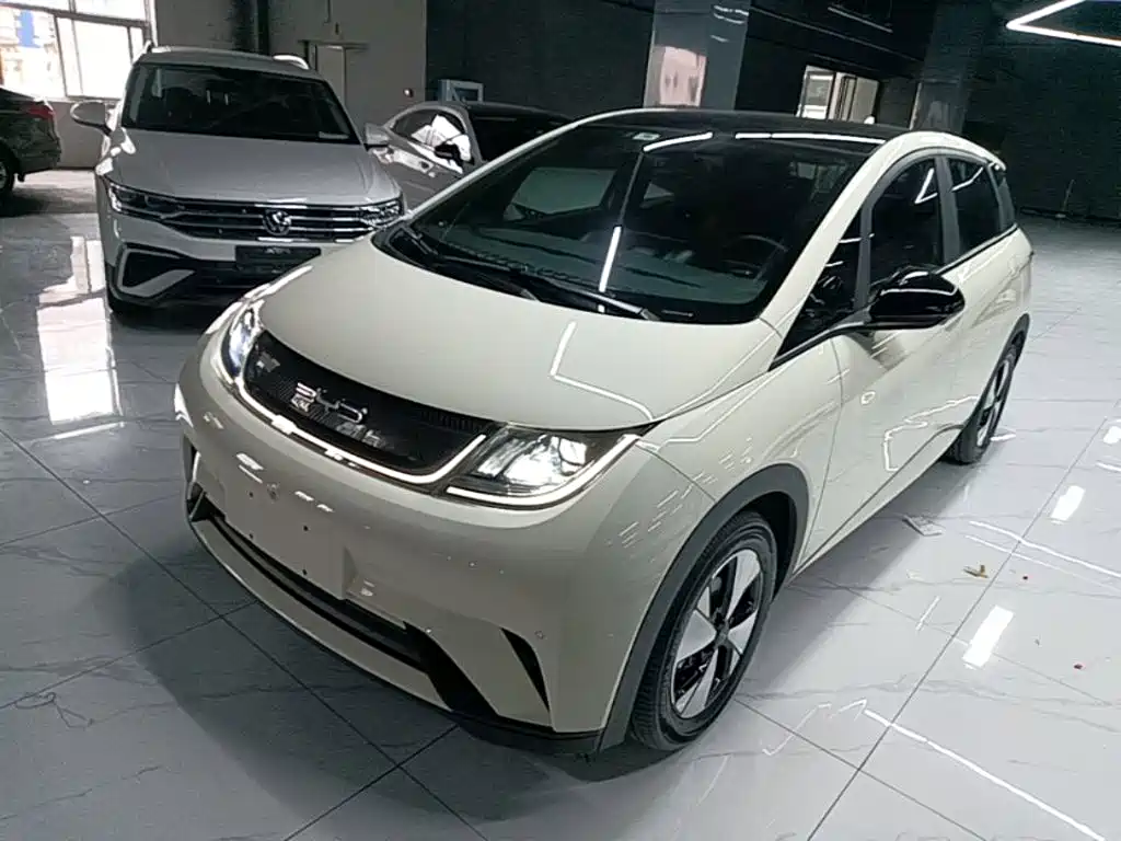 BYD Dolphin — миниатюра 2