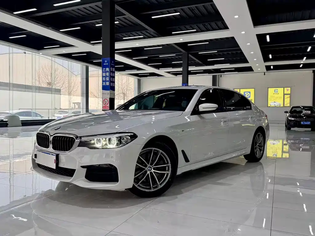 BMW 5 Series 2019