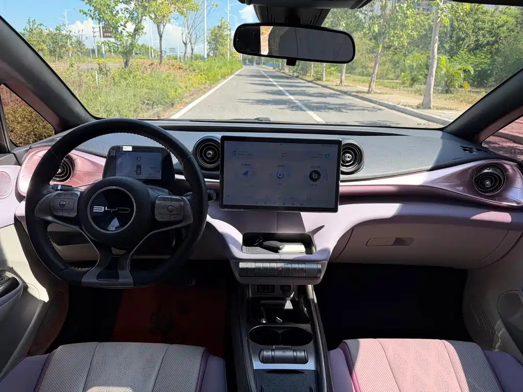 BYD Dolphin — миниатюра 9