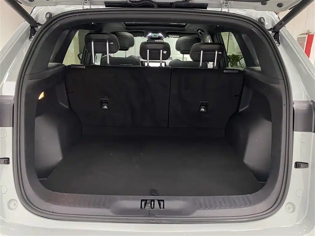 FORD LINGRUI NEW ENERGY