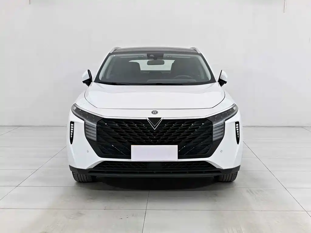 Venucia V 2022 260T