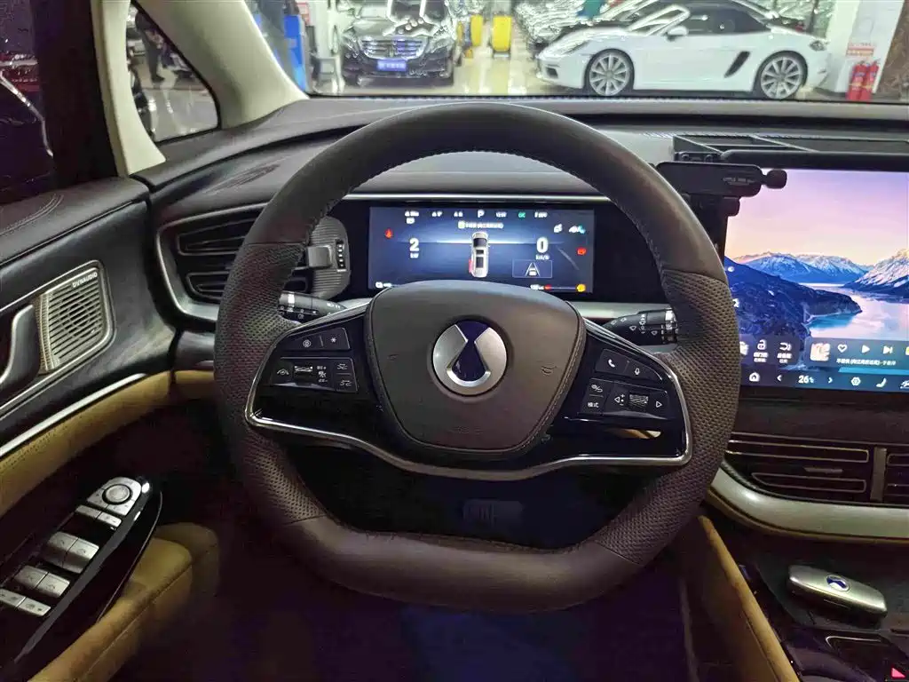Denza Denza D9 — миниатюра 8