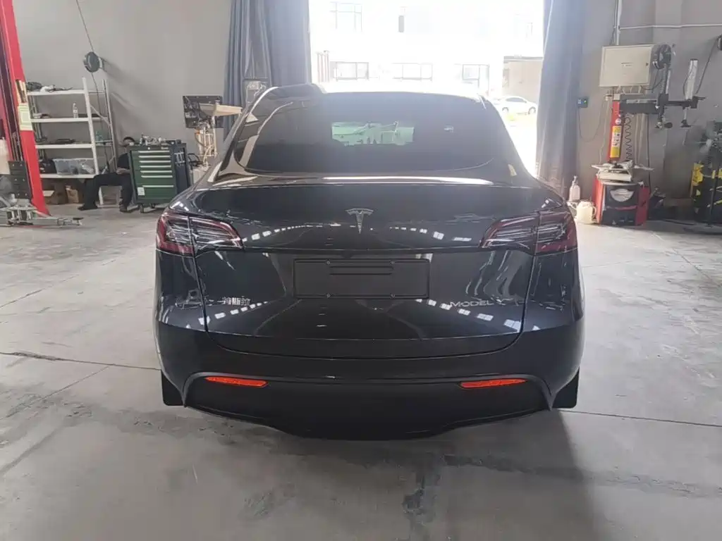 Tesla Model Y — миниатюра 6