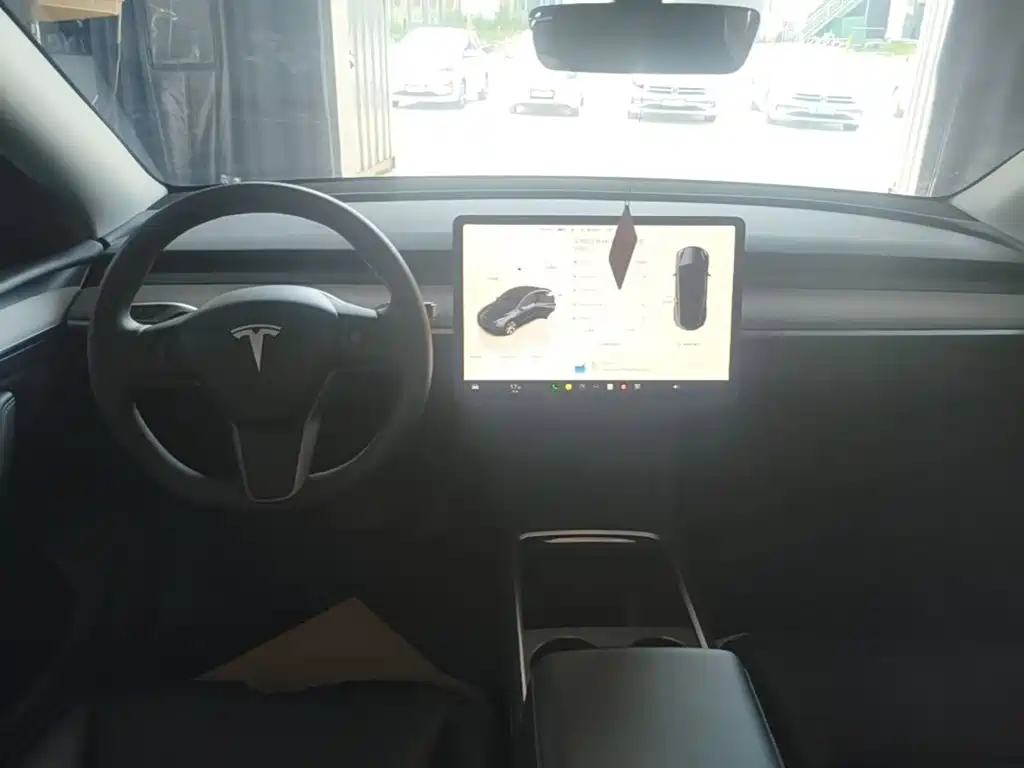 Tesla Model Y — миниатюра 10