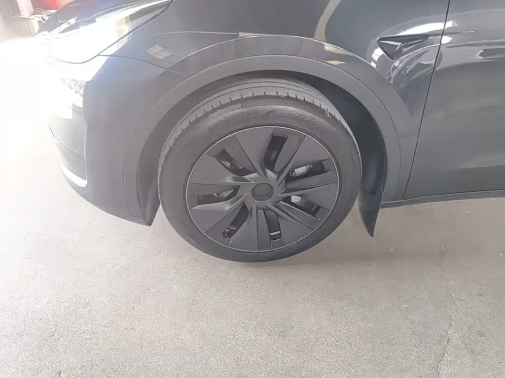 Tesla Model Y — миниатюра 23