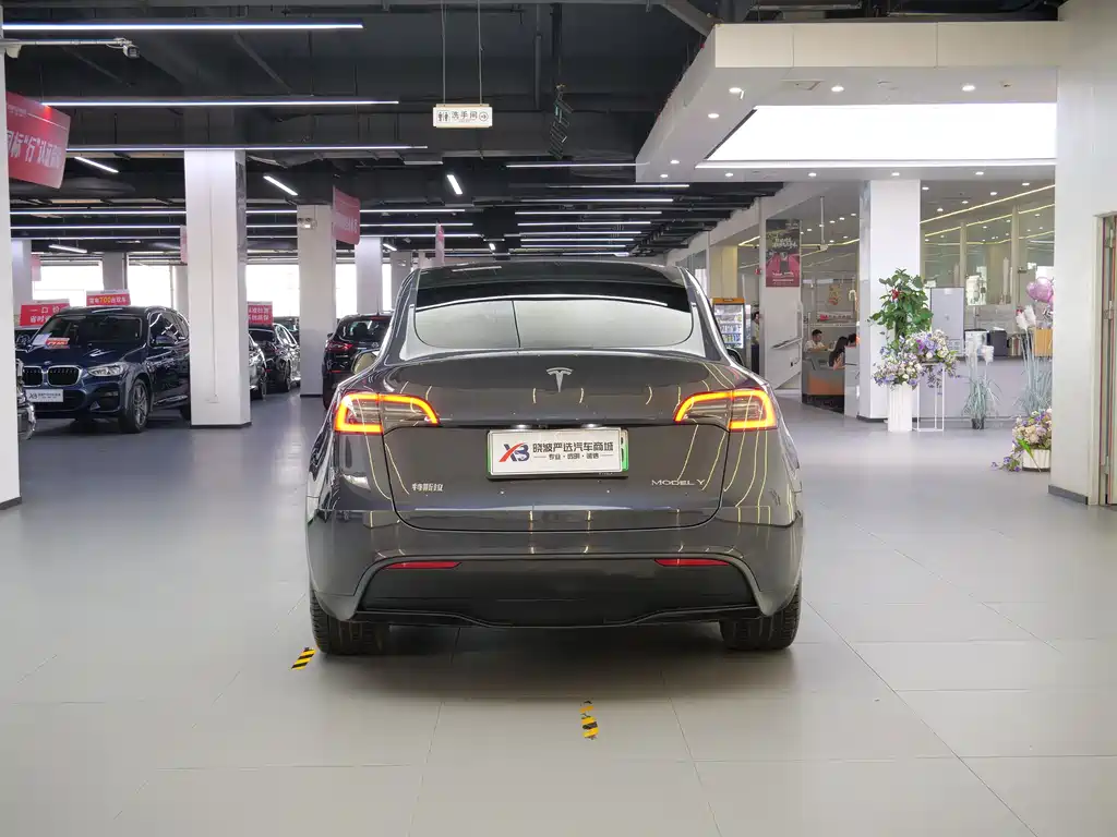 Tesla Model Y — миниатюра 5