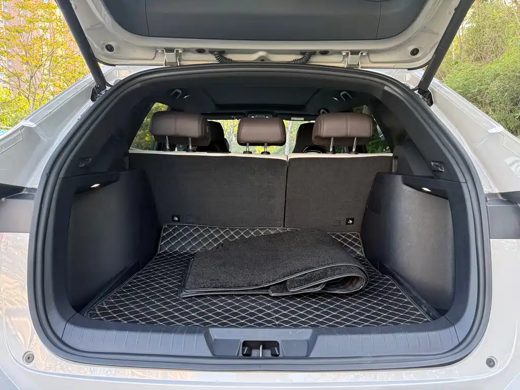 BYD SONGJIANG NEW ENERGY