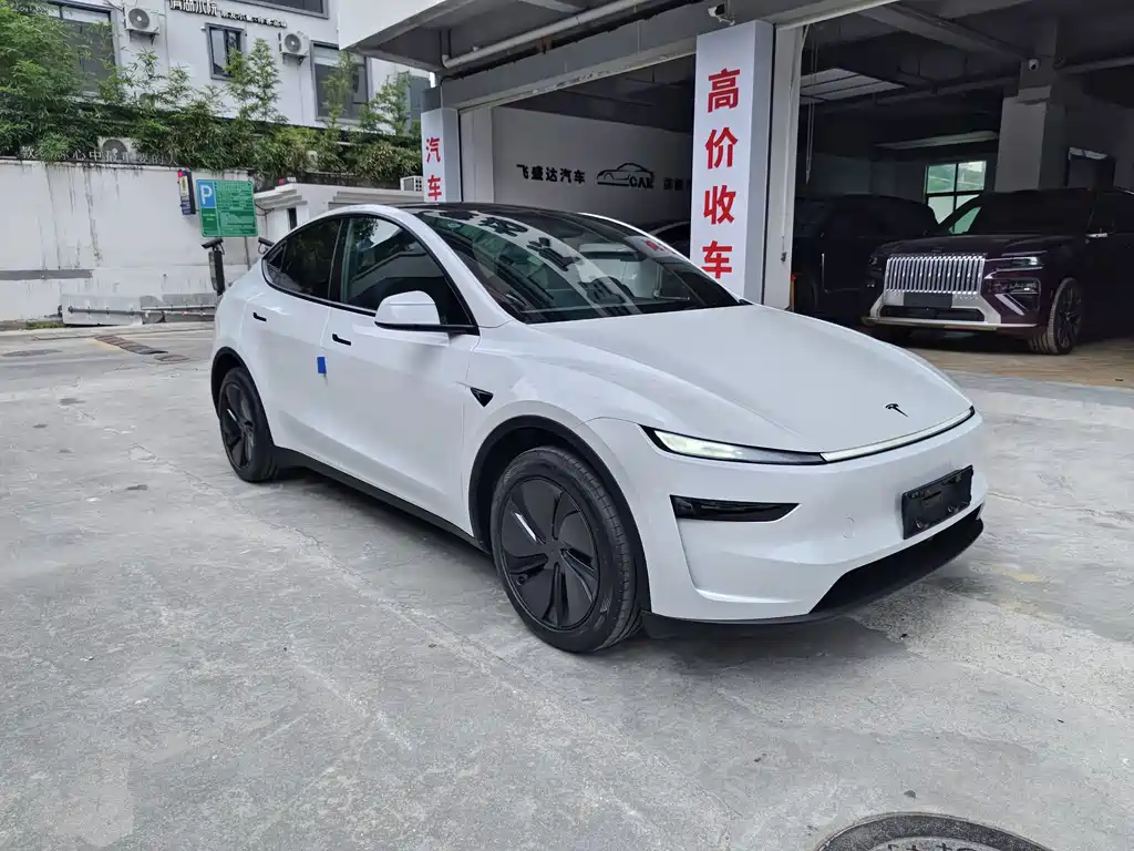 Tesla Model Y — миниатюра 3