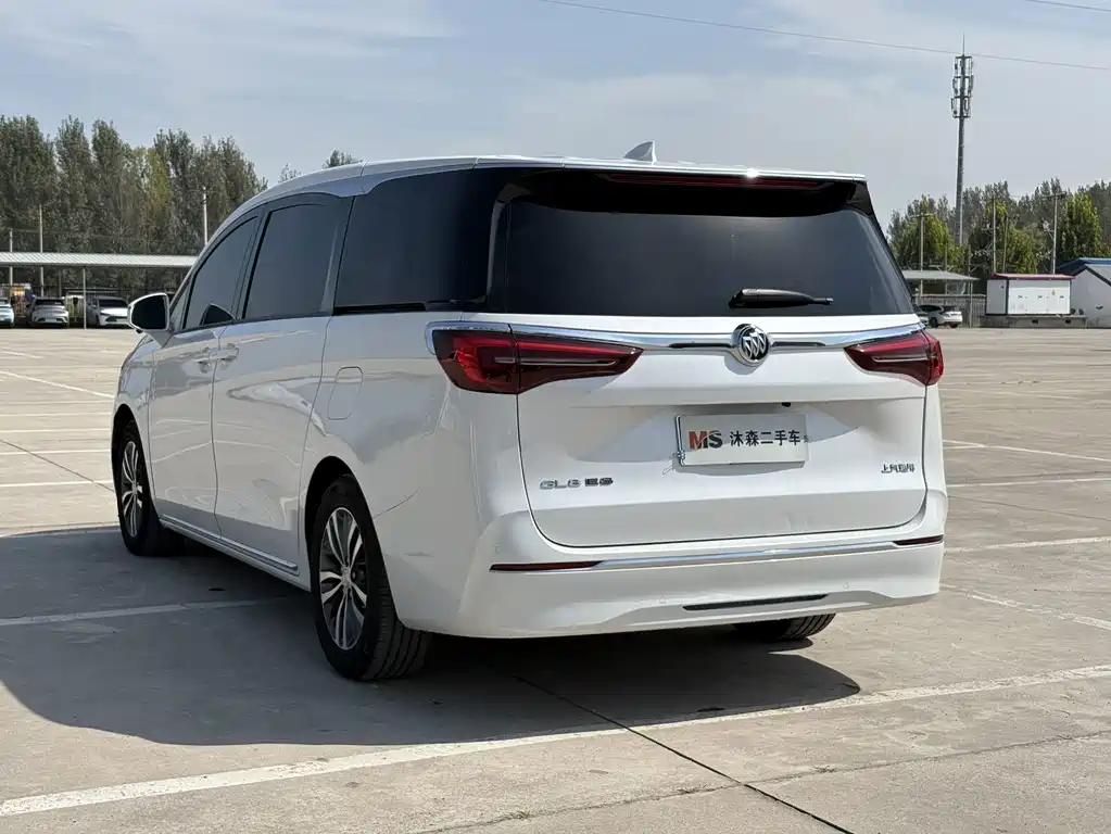 Buick GL8 — миниатюра 6