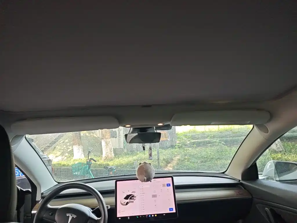 Tesla Model 3 — миниатюра 18