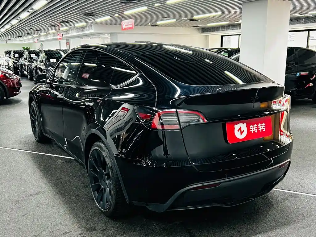 Tesla Model Y — миниатюра 6