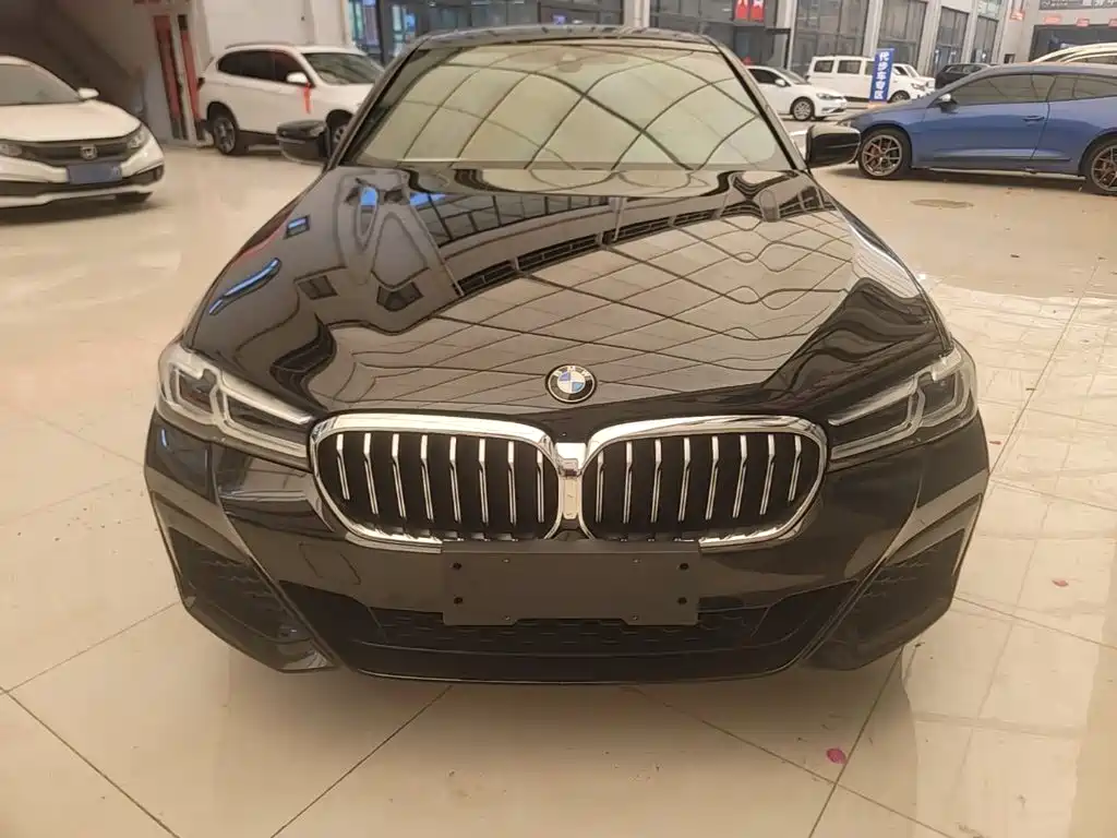 BMW 5 Series — миниатюра 3