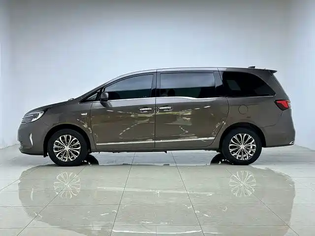 Buick GL8 — миниатюра 4