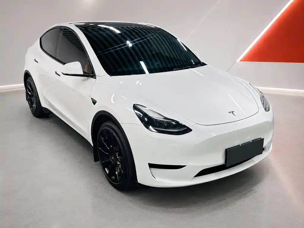 Tesla Model Y — миниатюра 3
