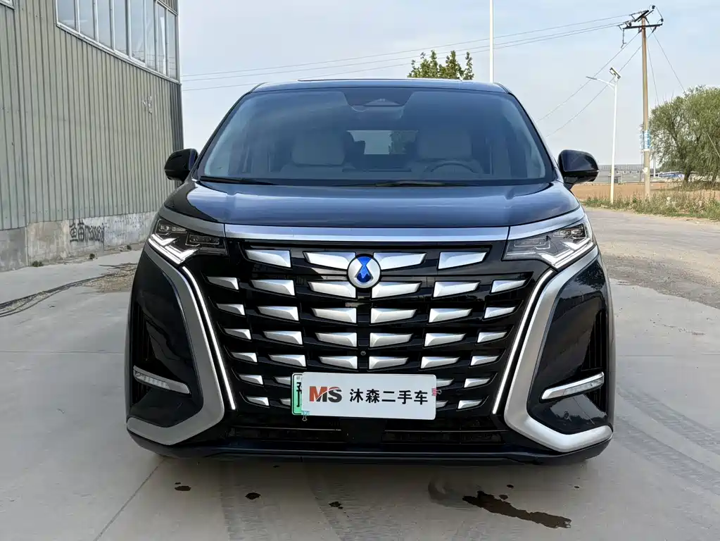 Denza Denza D9 — миниатюра 2