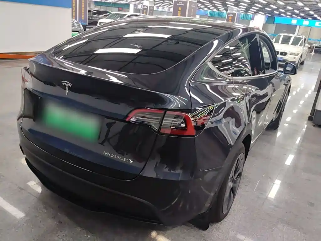 Tesla Model Y — миниатюра 7