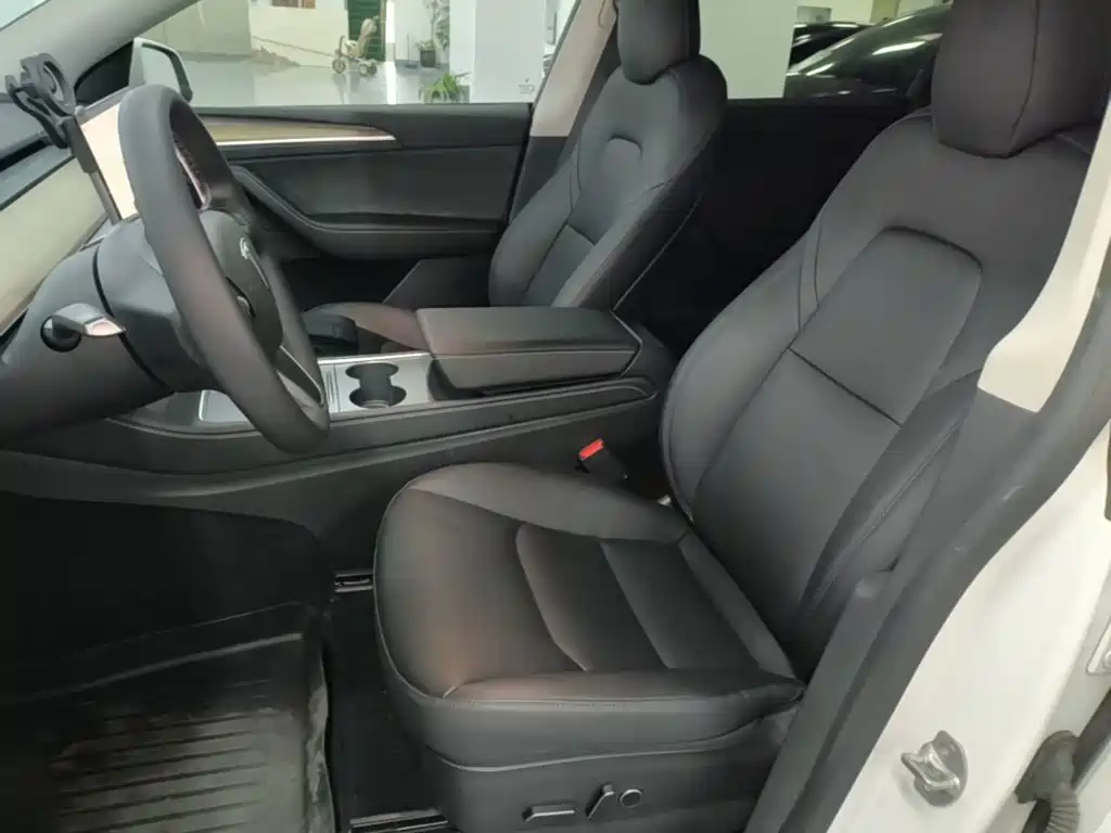 Tesla Model Y — миниатюра 15