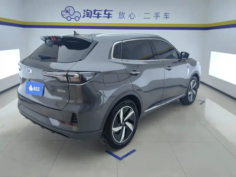Qiyuan Чанг Ан Кай Q05 классика. — миниатюра 3