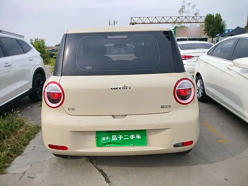 Qiyuan Lumin — миниатюра 6