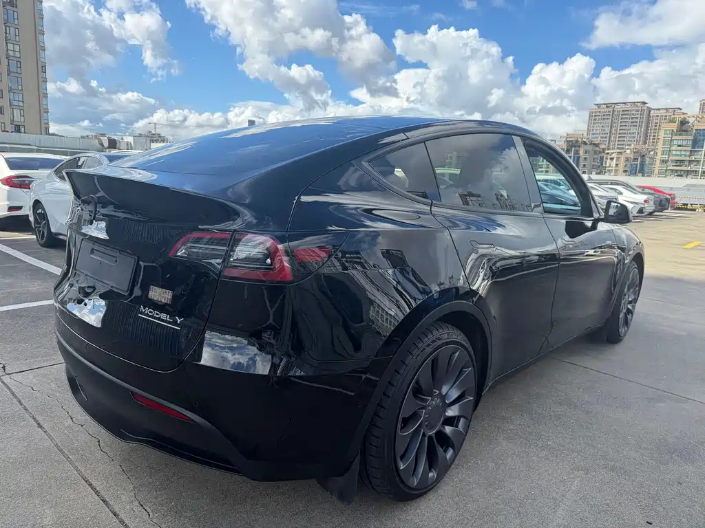 Tesla Model Y — миниатюра 9