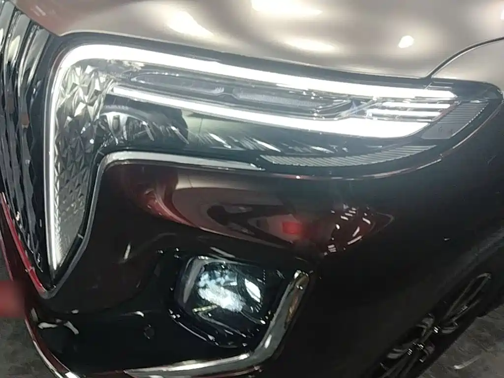 Hongqi Hongqi HQ9 — миниатюра 24